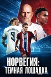 Постер к сериалу Норвегия: Темная лошадка