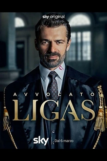 Постер к сериалу Адвокат Лигас
